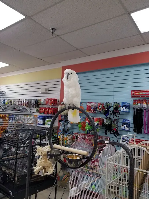 Rena's Pet Supplies Picture 6