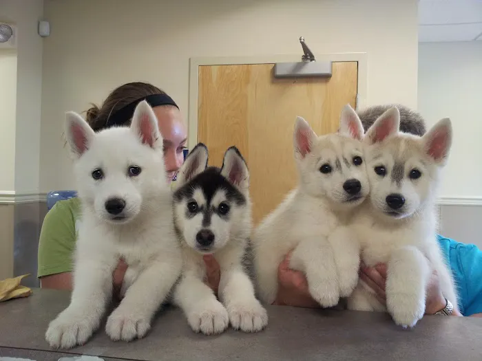 Veterinary Care Center Picture 1