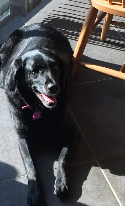 Veterinary Care Center Picture 5