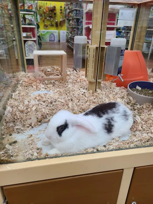 Pet Supermarket Picture 4