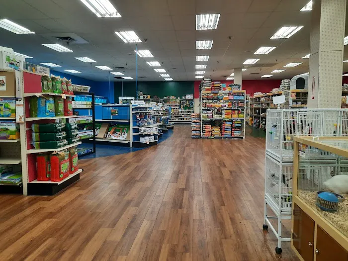 Pet Supermarket Picture 2