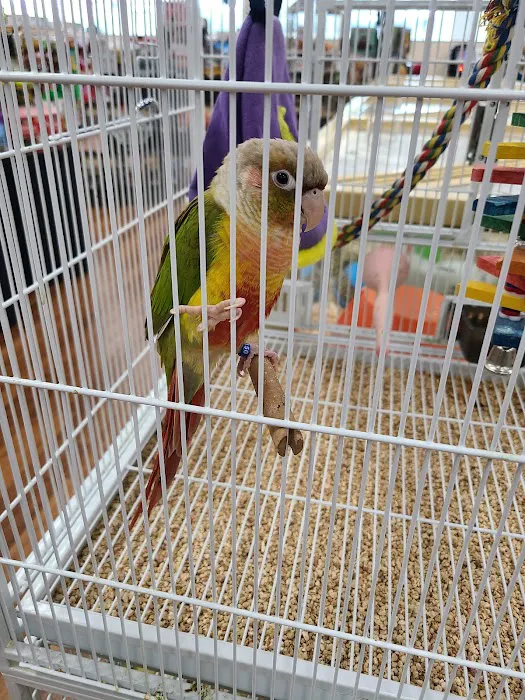 Pet Supermarket Picture 5