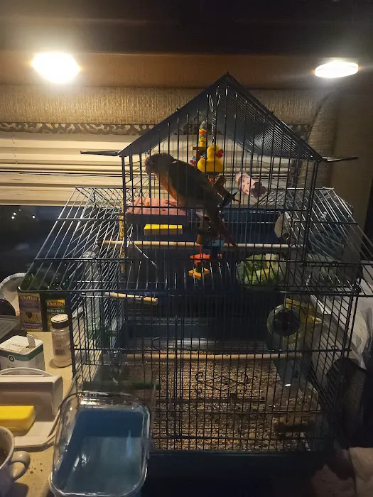 Pet Supermarket Picture 8