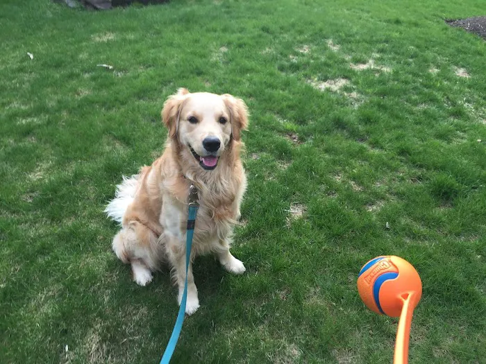 Nassau Animal Hospital Picture 7