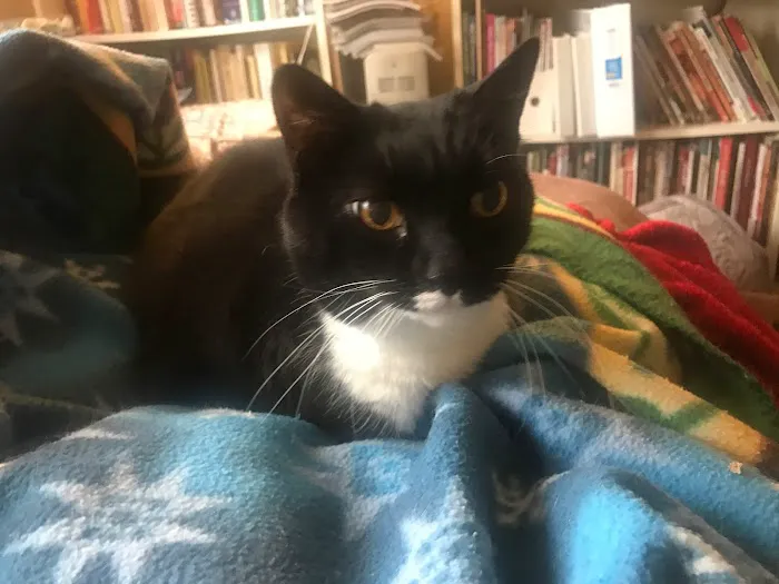 Nassau Animal Hospital Picture 3