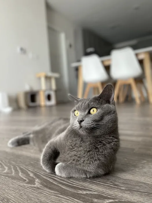 Nassau Animal Hospital Picture 6