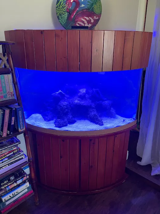 Elite Aquatic Concepts LLC Picture 1