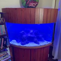 Elite Aquatic Concepts LLC ico