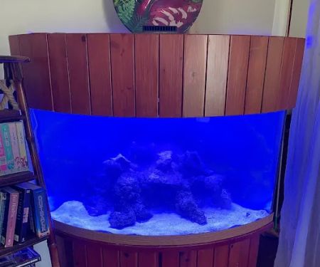 Elite Aquatic Concepts LLC