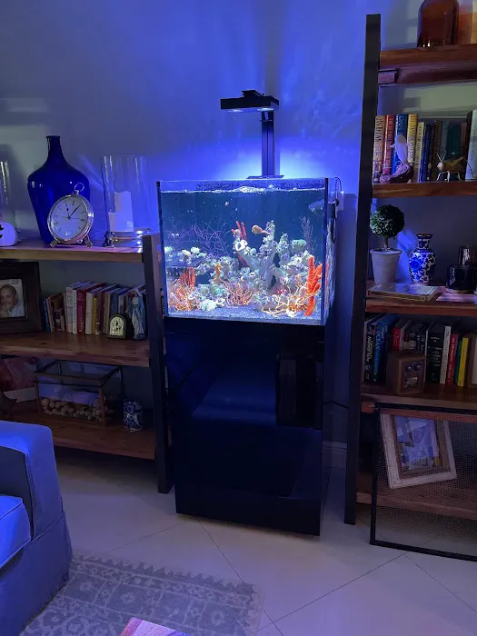 Elite Aquatic Concepts LLC Picture 2