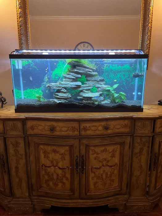 Elite Aquatic Concepts LLC Picture 5