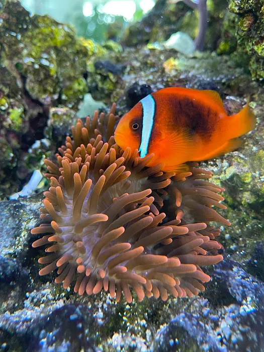 Elite Aquatic Concepts LLC Picture 3