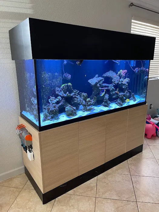 Elite Aquatic Concepts LLC Picture 4