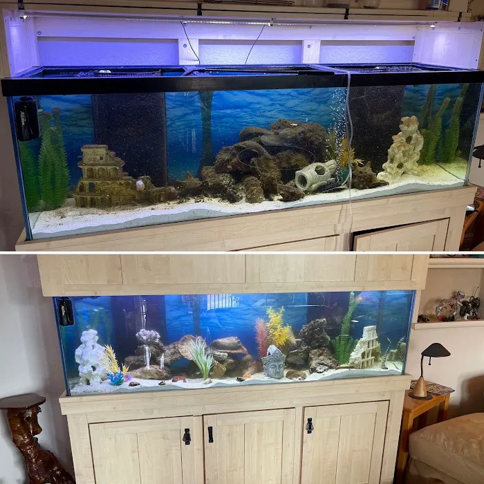 Elite Aquatic Concepts LLC Picture 6