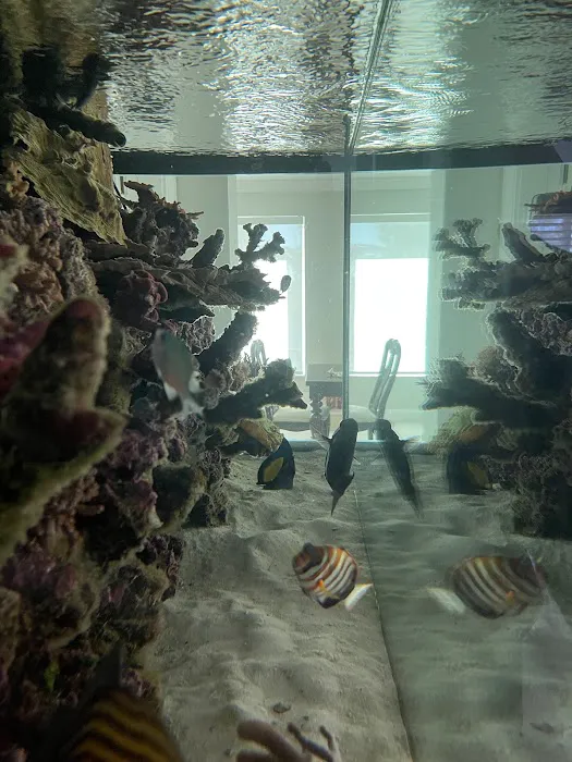 Elite Aquatic Concepts LLC Picture 10