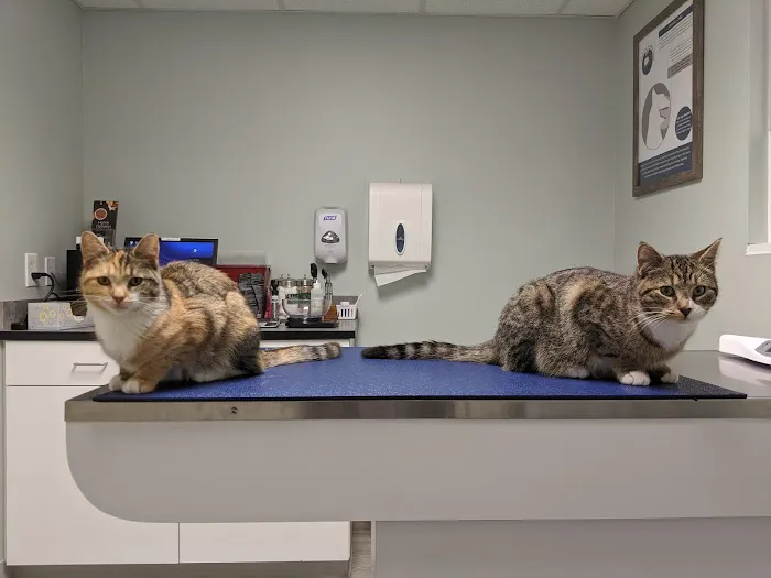 Lawrence Animal Hospital Picture 7