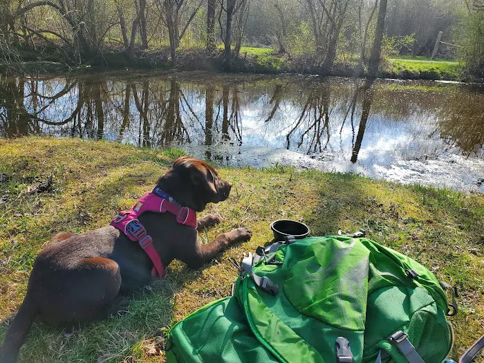 Lawrence Animal Hospital Picture 9