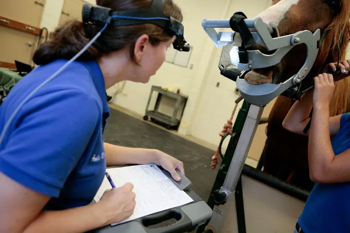 Garden State Equine Veterinary Dentistry, LLC Picture 5