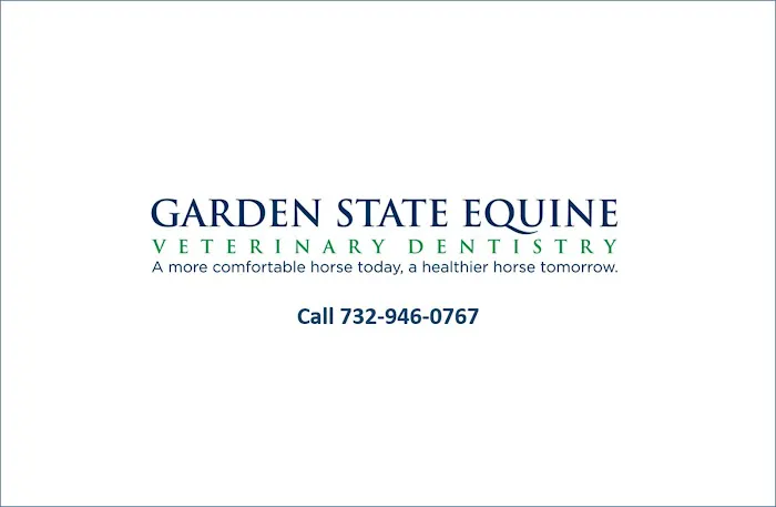 Garden State Equine Veterinary Dentistry, LLC Picture 8