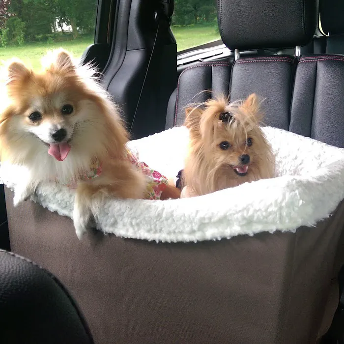 Banfield Pet Hospital Picture 6