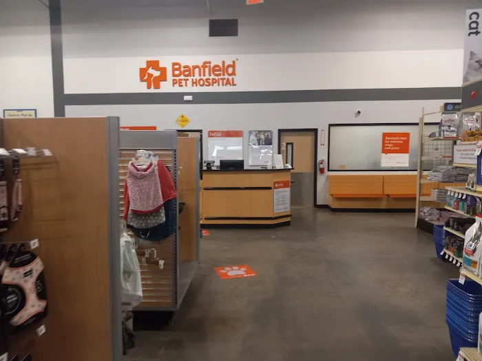 Banfield Pet Hospital Picture 2