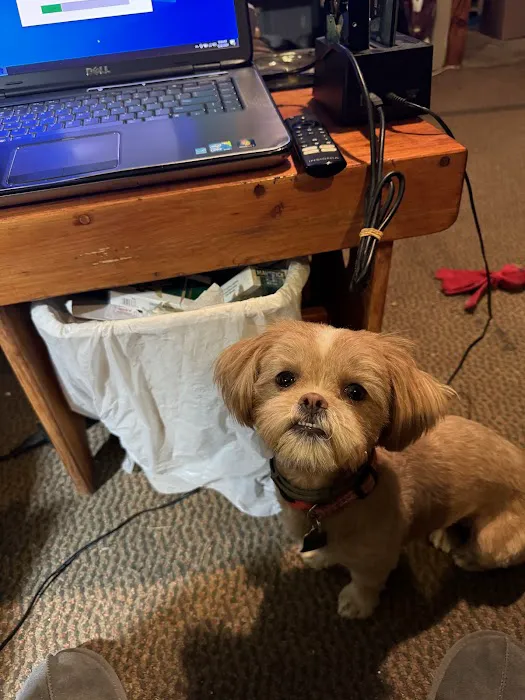 Banfield Pet Hospital Picture 3