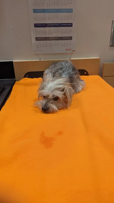 Banfield Pet Hospital Picture 4