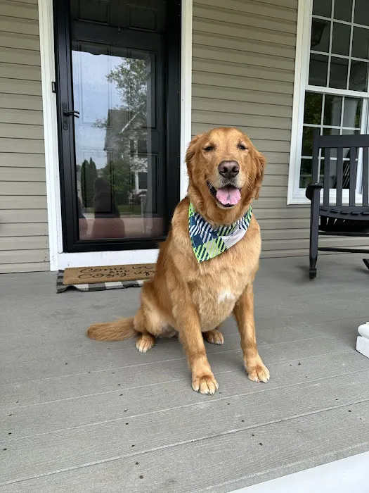 Banfield Pet Hospital Picture 1