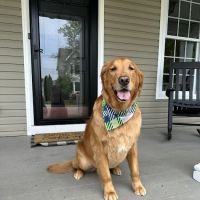 Banfield Pet Hospital ico