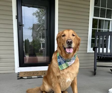 Banfield Pet Hospital