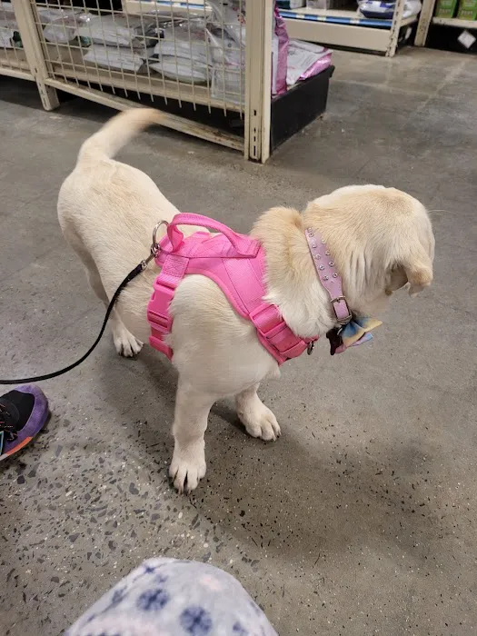 Banfield Pet Hospital Picture 8