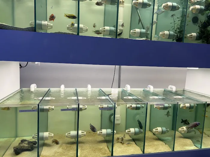 Corals Frag Picture 8