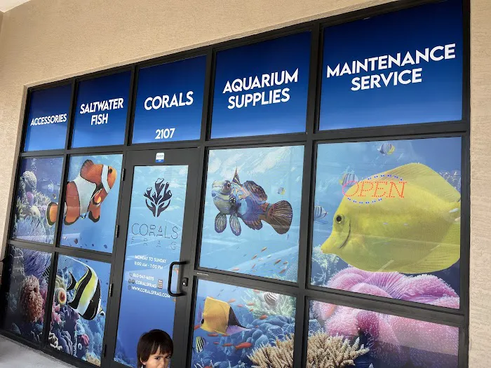 Corals Frag Picture 9