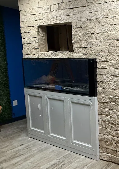 Atlantis Coral Reef Supply (CALL TO MAKE AN APPOINTMENT) Picture 7