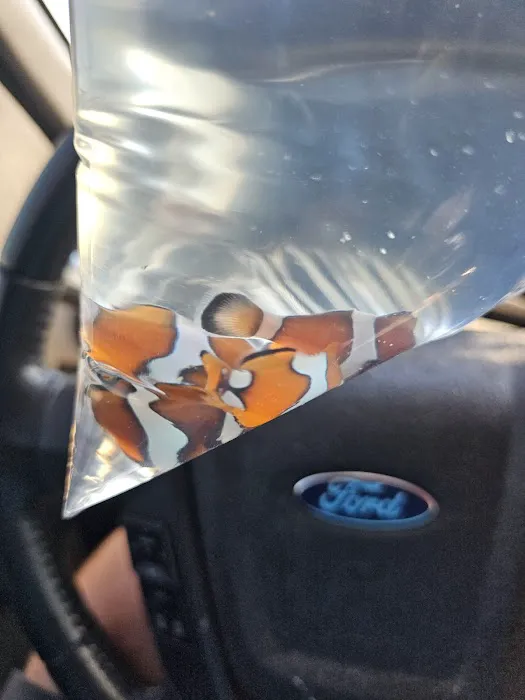 Atlantis Coral Reef Supply (CALL TO MAKE AN APPOINTMENT) Picture 1