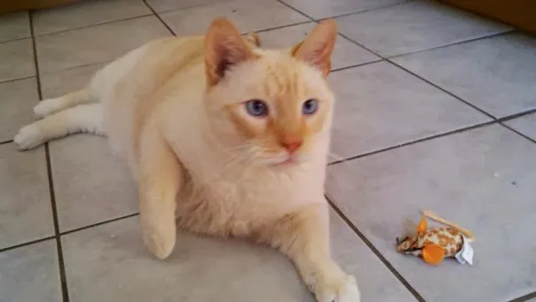 Yardville Animal Hospital Picture 4