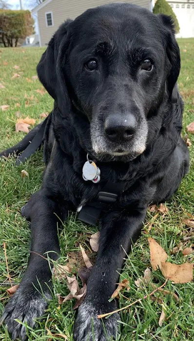 Yardville Animal Hospital Picture 1