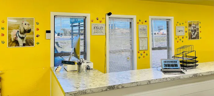 Puppy Boutique of Lake Hamilton Picture 1