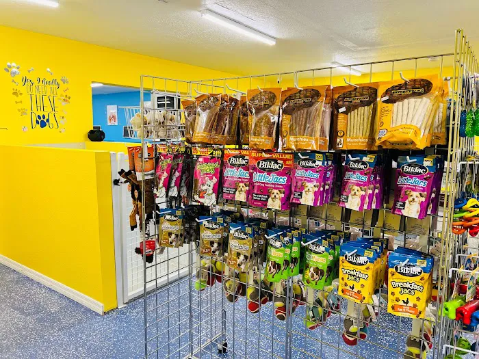 Puppy Boutique of Lake Hamilton Picture 4