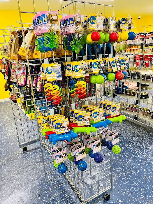 Puppy Boutique of Lake Hamilton Picture 10