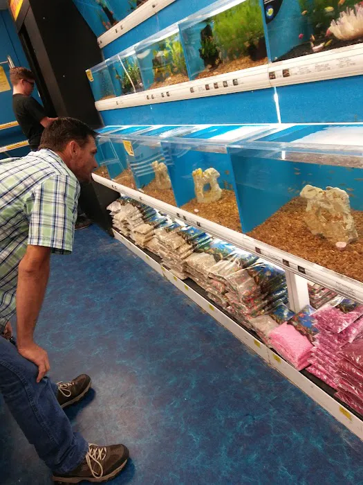 Pet Supermarket Picture 5