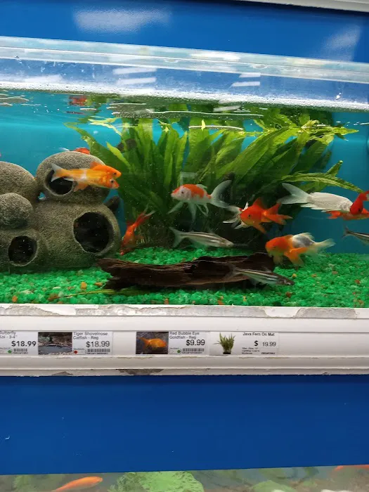 Pet Supermarket Picture 9