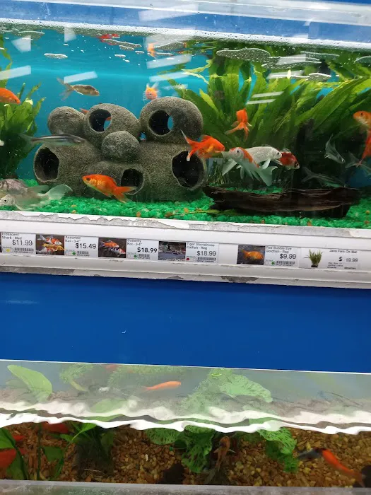 Pet Supermarket Picture 6