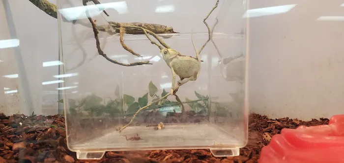 Pet Supermarket Picture 7