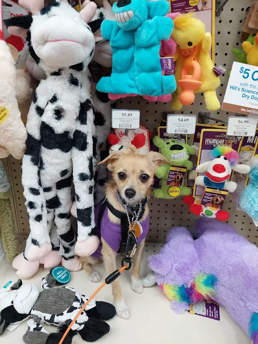 Pet Supermarket Picture 1