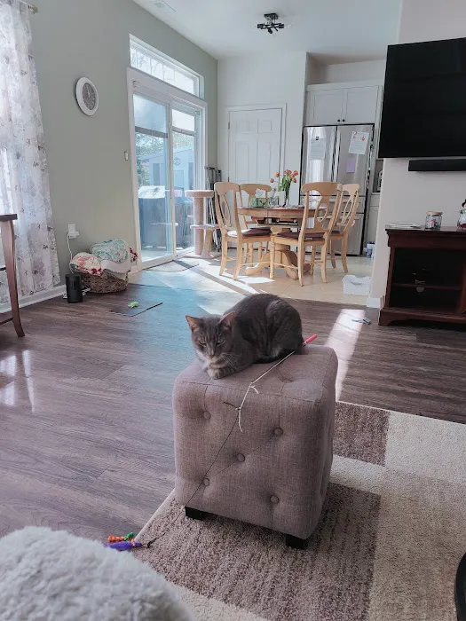 Cream Ridge Animal Clinic Picture 2