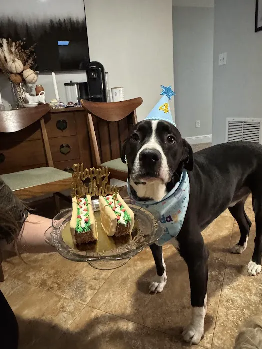 Happy Pets Bakery Picture 6