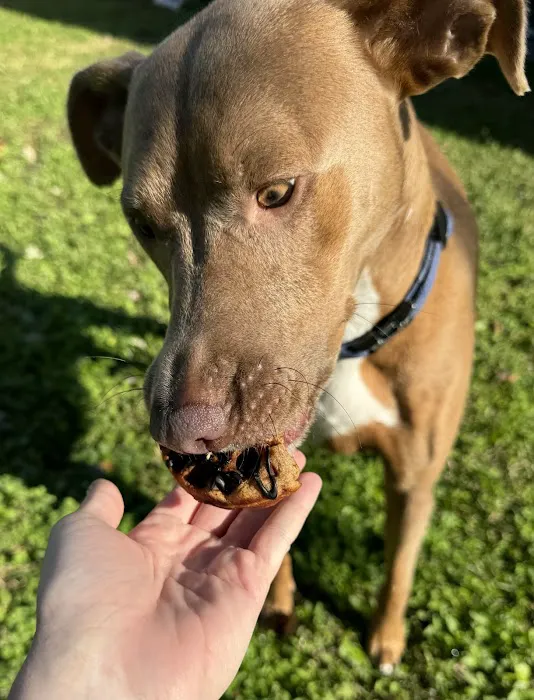 Happy Pets Bakery Picture 10