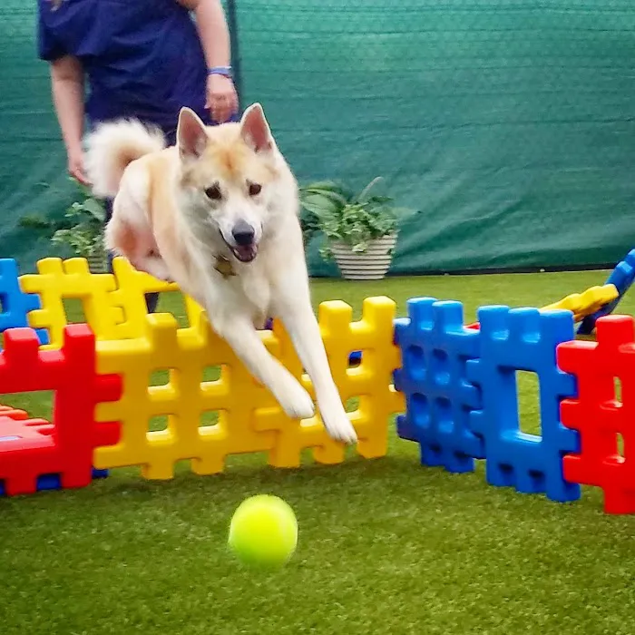 Heartland Veterinary and Boarding Picture 7