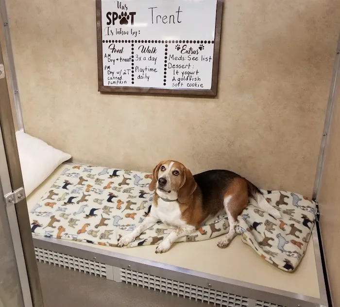 Heartland Veterinary and Boarding Picture 10